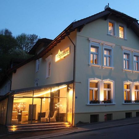Hotel Spitzberg Garni Passau Buitenkant foto